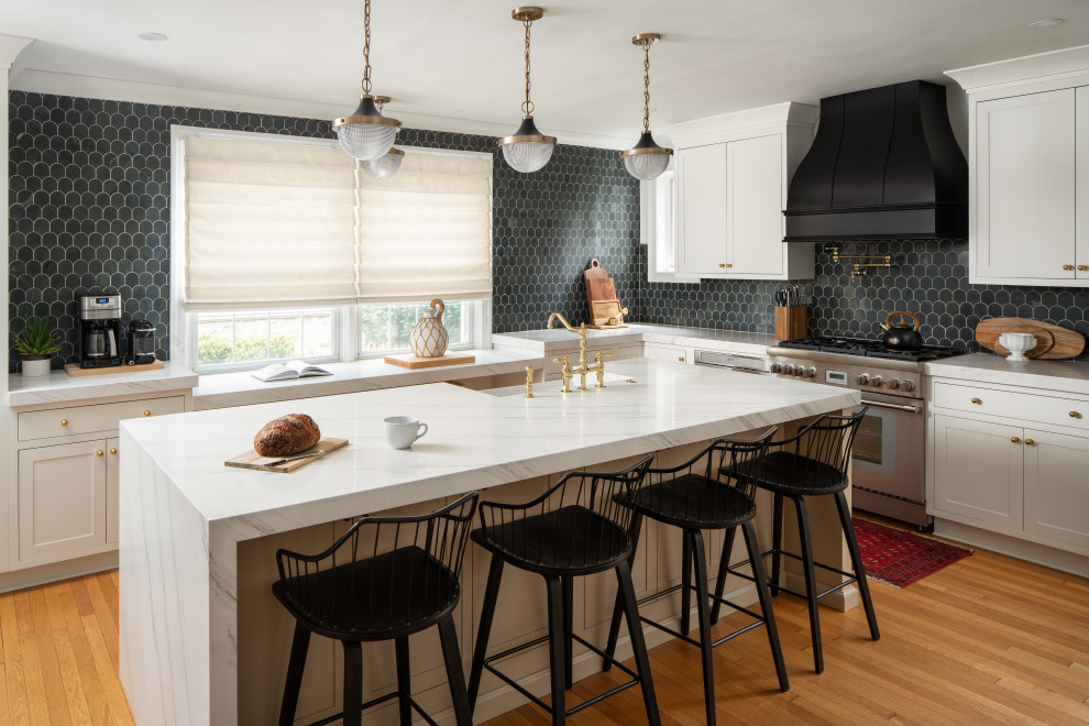 Fresh Look at Historic Homeland Full Home Remodel Transitional