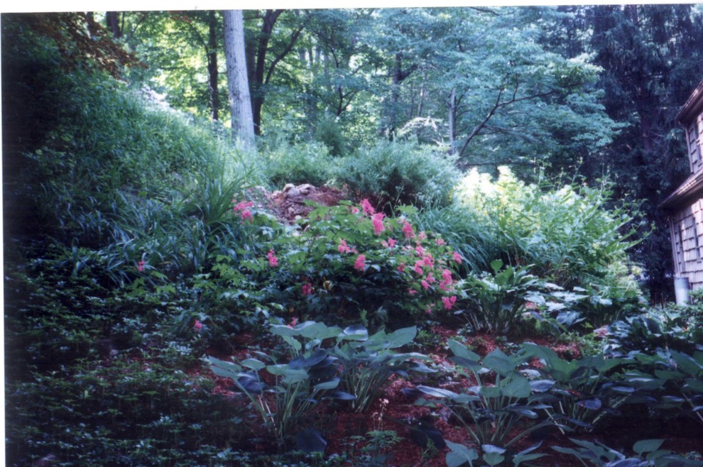 Photo of a country sloped shaded garden for summer in New York.