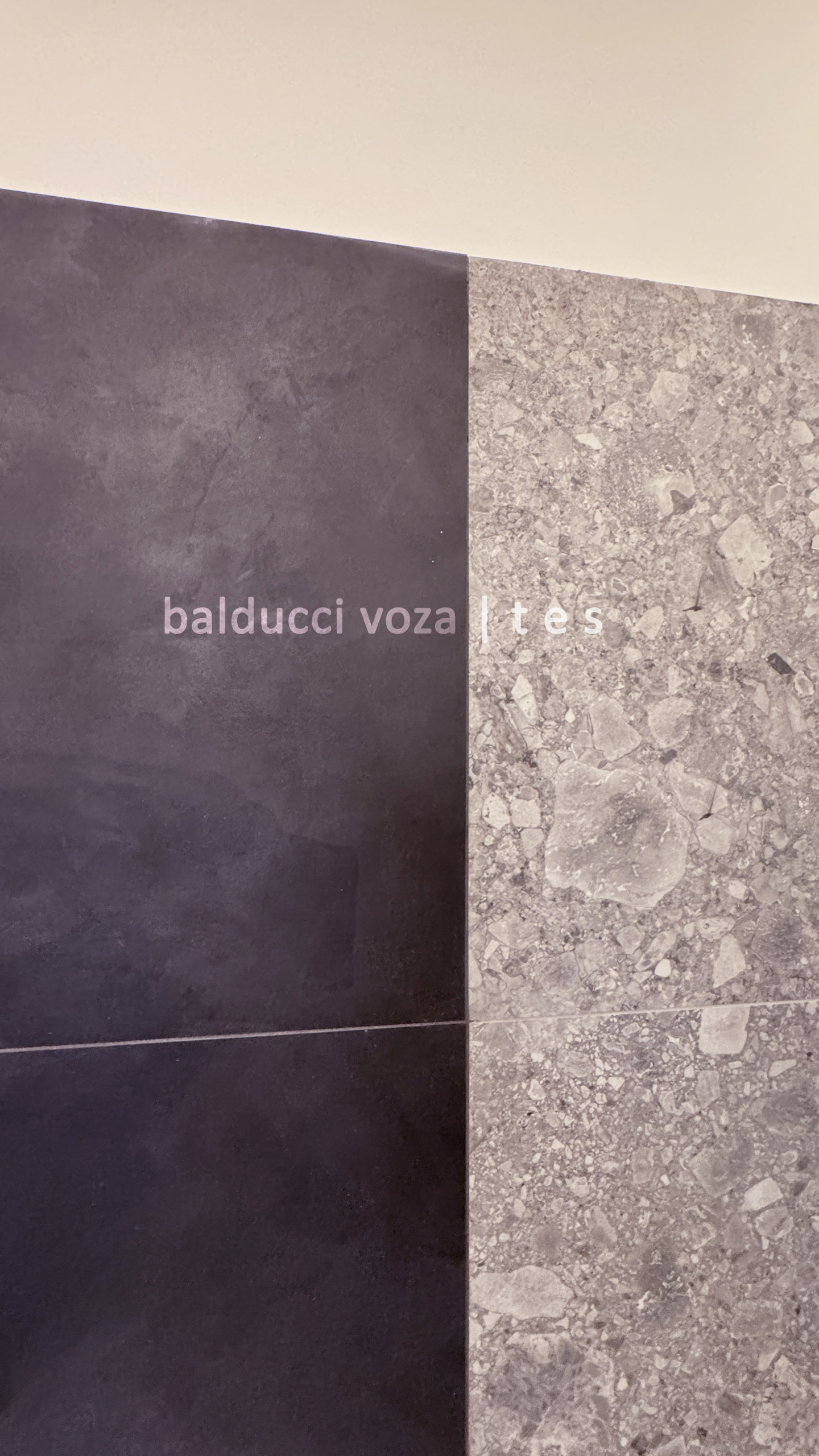 APT_2S - Restyling/Refurbishing - Roma