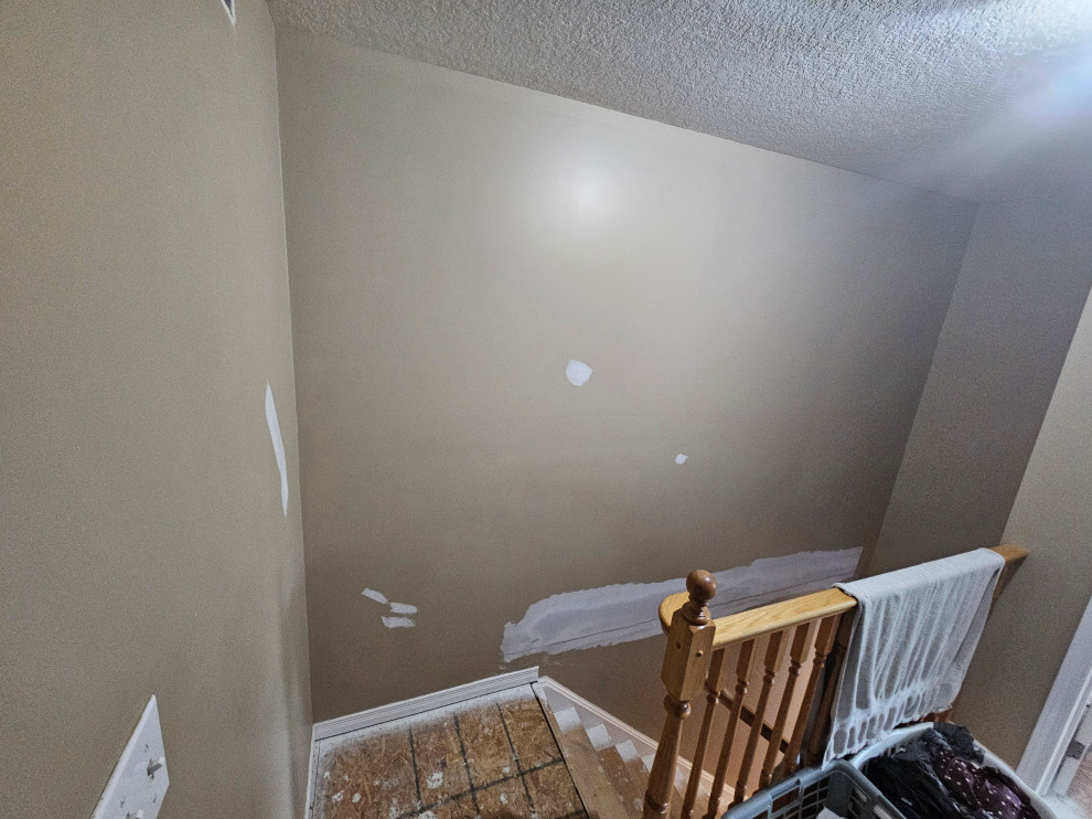 Interior Remodel (Painting, Flooring & Stairs)