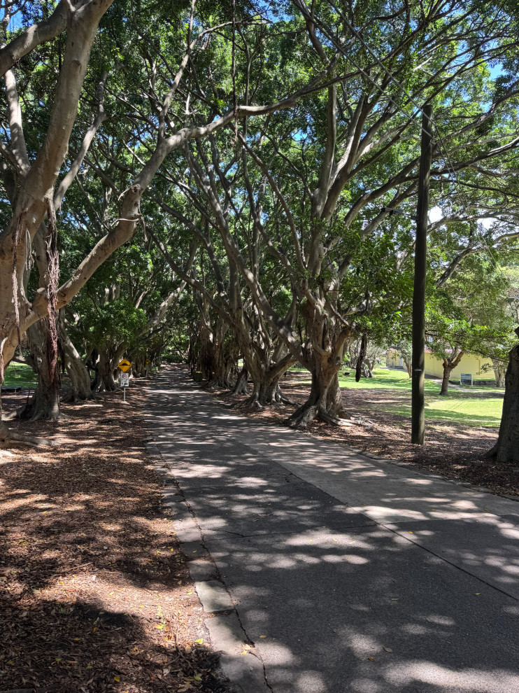 Nielson Park Amenities Block