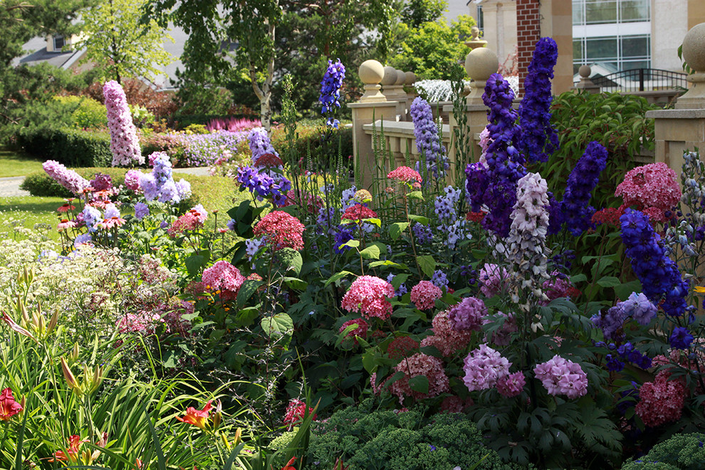 Малиновый этюд