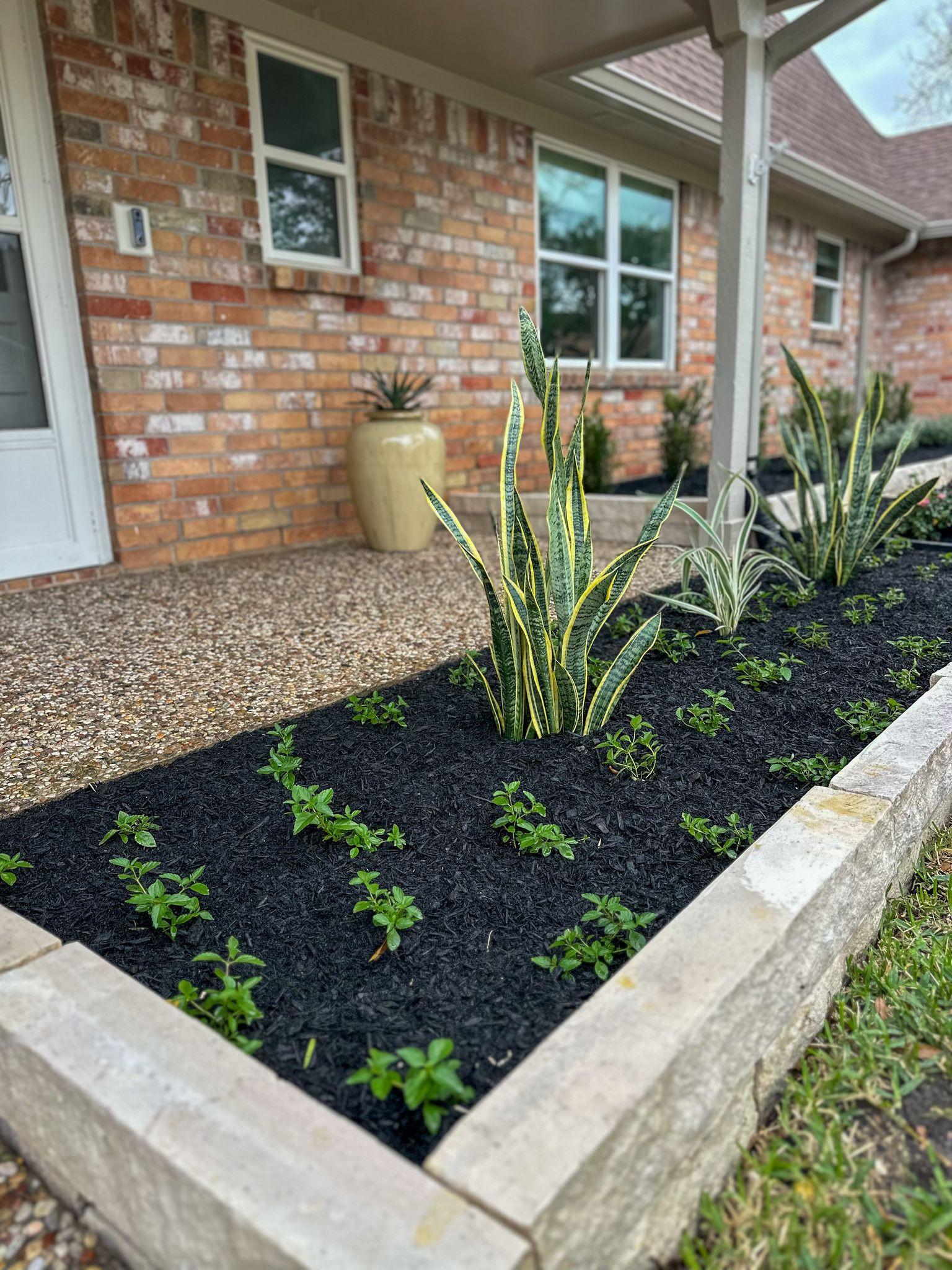 Front yard makeover at Durban Dr!