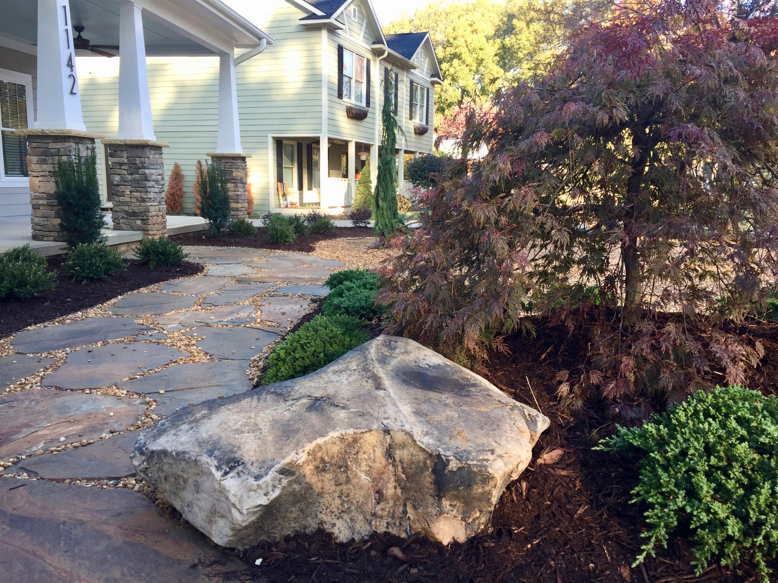 Boulders and Japanese maple
