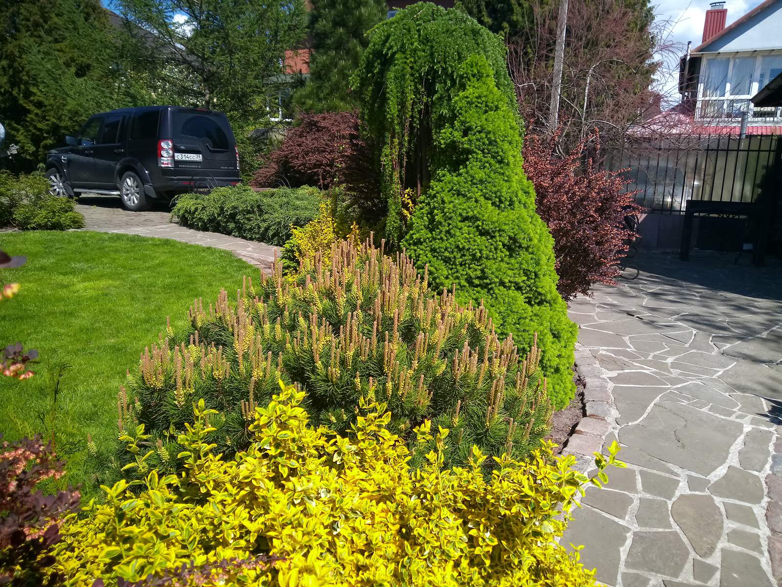 Уход за растениями г. Калининград