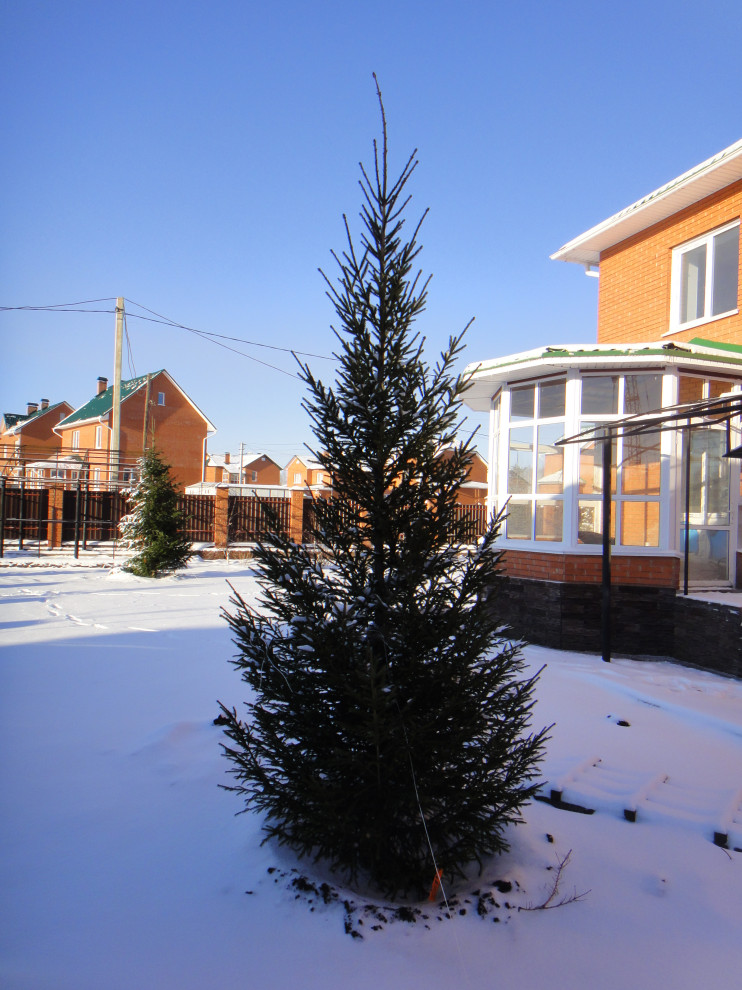 Ландшафтные работы и озеленение участка в Юрге