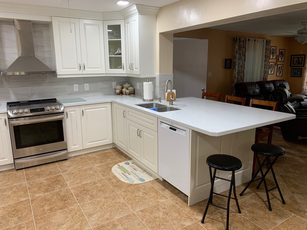Kitchen - transitional kitchen idea in Miami