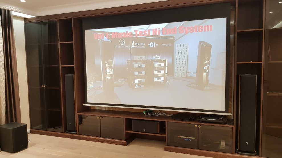 Домашний кинотеатр (Экран + Проектор,ТВ)