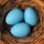 Last commented by Adnan Elhammali