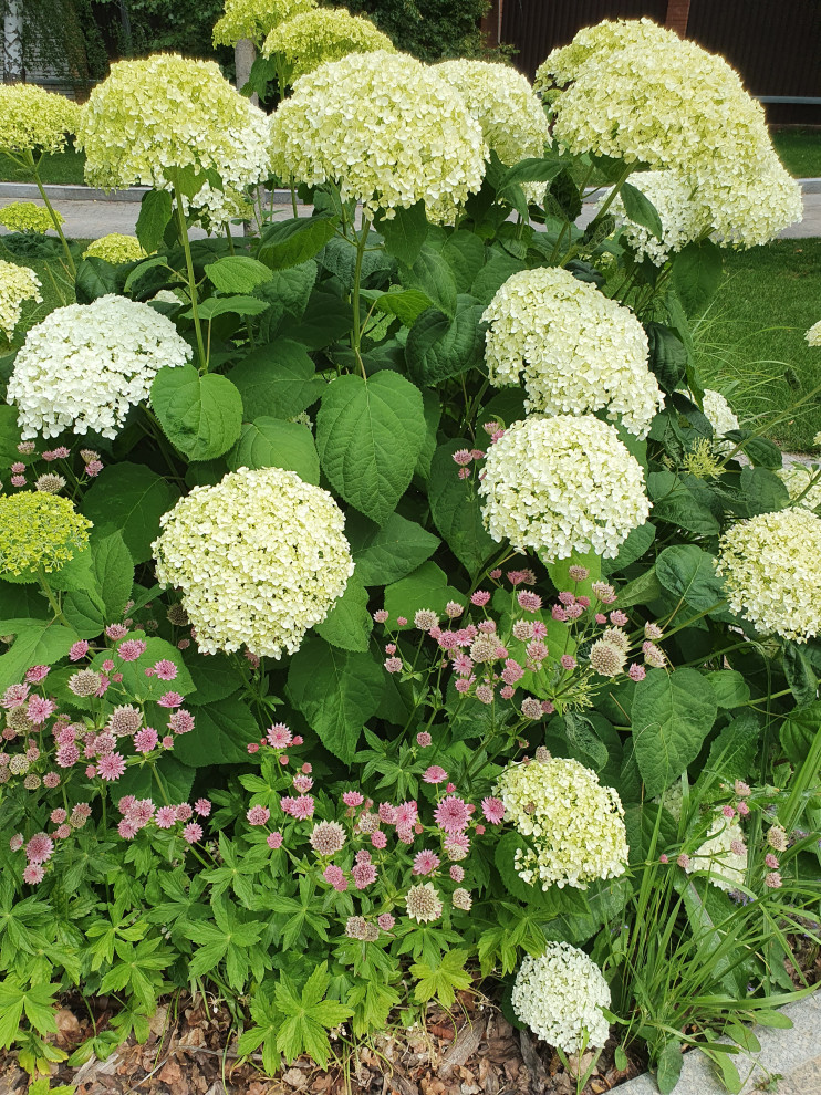 Частный сад