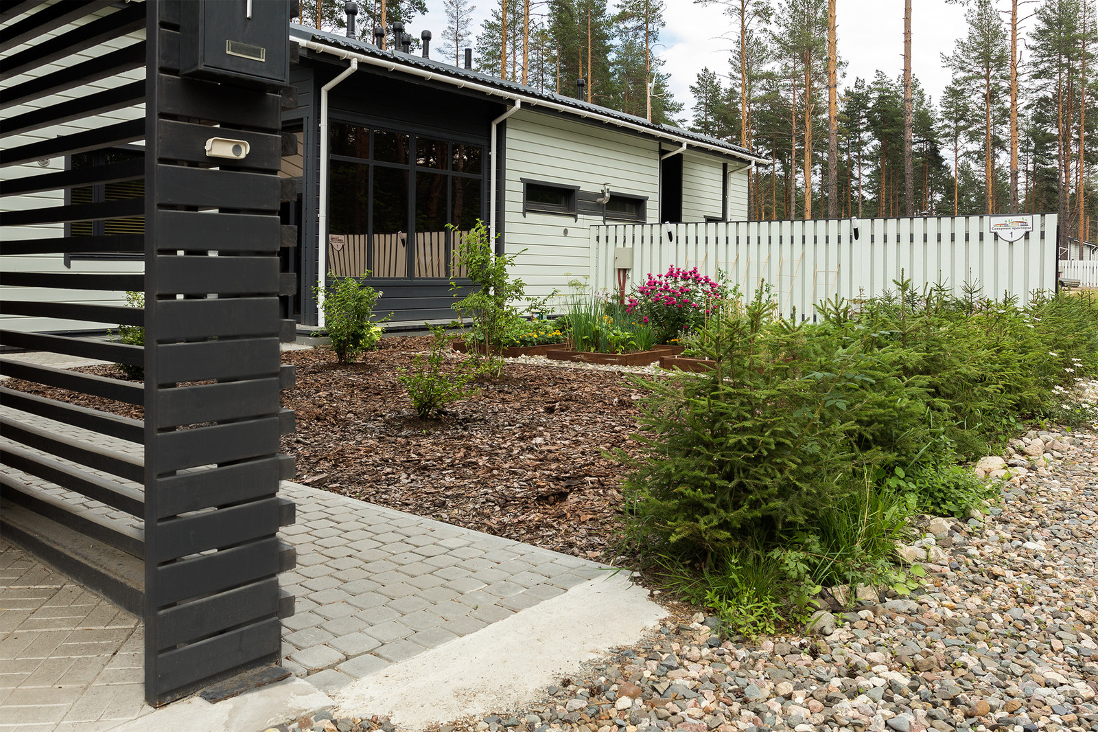 Живая изгородь