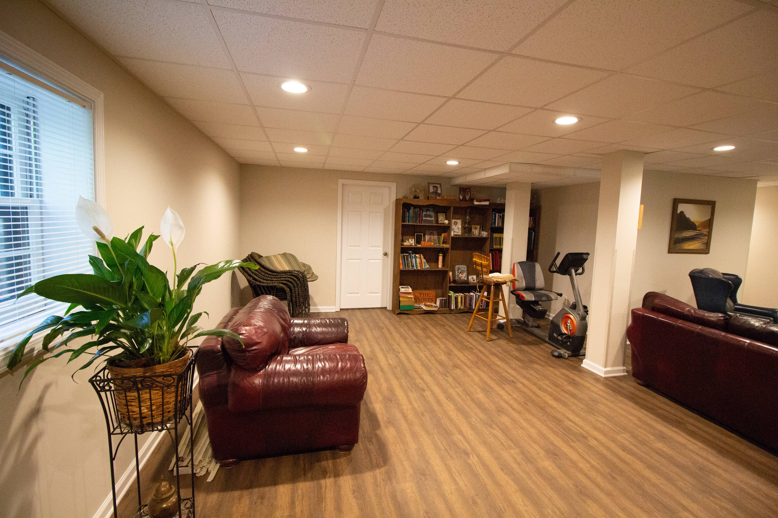Gainesville Basement Remodel