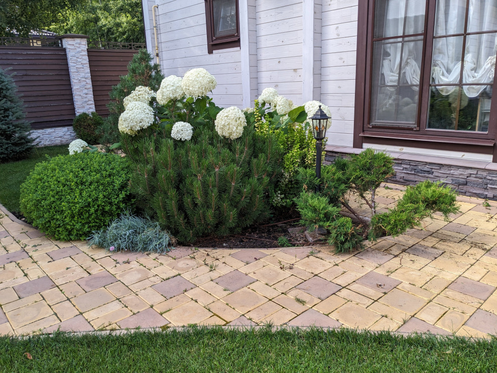 Сад принцессы