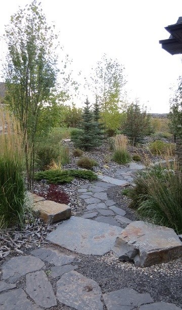 This is an example of a mid-sized contemporary backyard full sun garden in Calgary with a fire feature and concrete pavers.