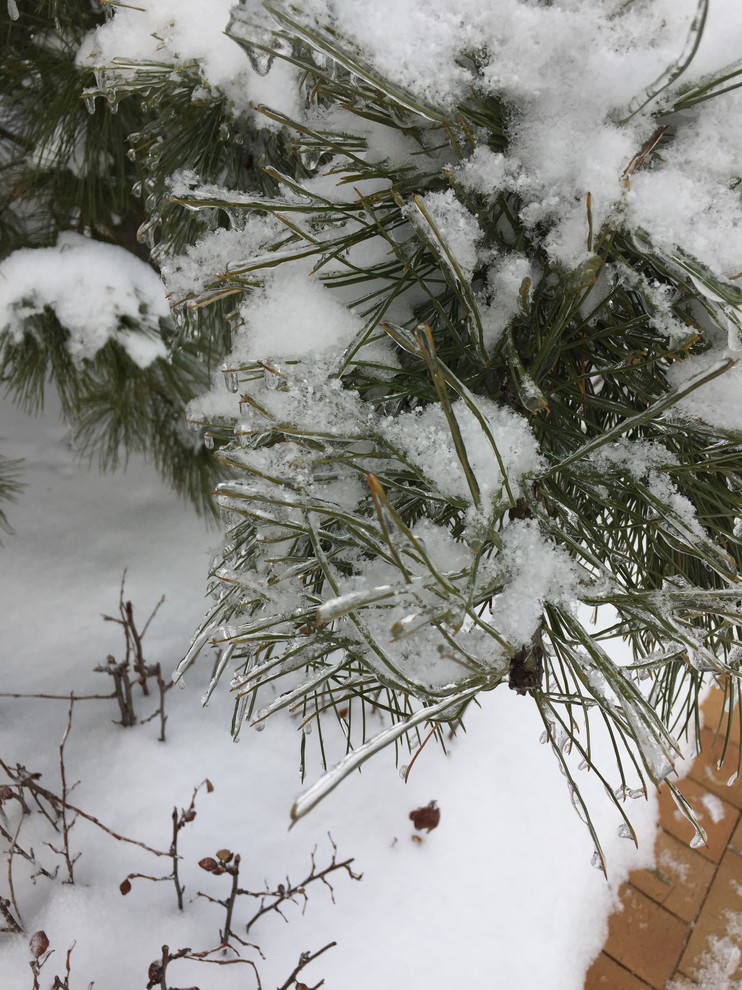 Зимние объекты