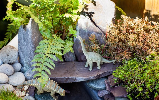 Mini Dinosaur Garden 
