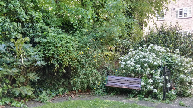 PUBLIC GARDEN - Notthing Hill, London country-garden