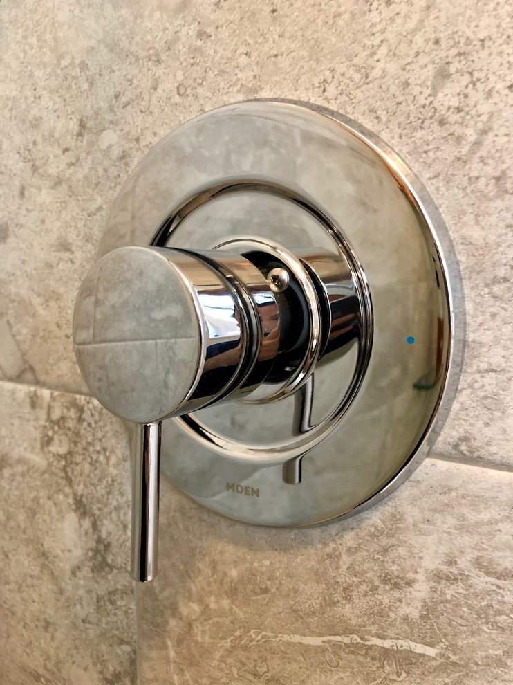 Venice Island Bathroom Remodel with Frameless Shower