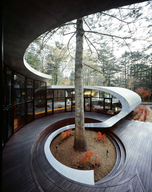 Shell contemporaneo-terrazza