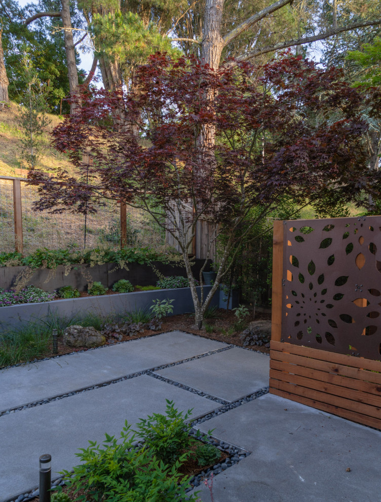 Foto di un giardino minimal esposto a mezz'ombra di medie dimensioni e dietro casa con un muro di contenimento e pavimentazioni in cemento