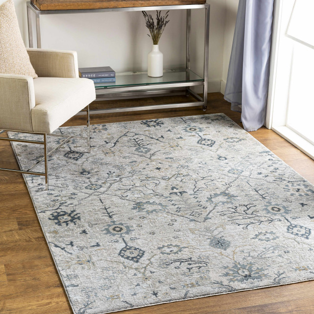 Claydon Mediterranean Area Rugs by Hauteloom Houzz