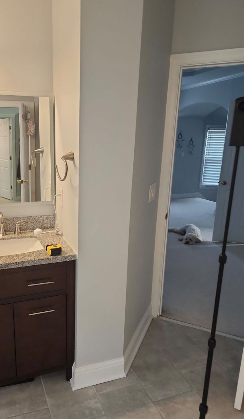 Mster bathroom remodeling Design project