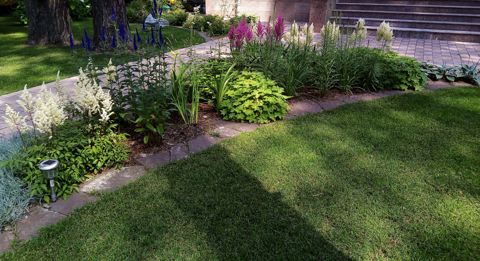 Цветники под пологом леса