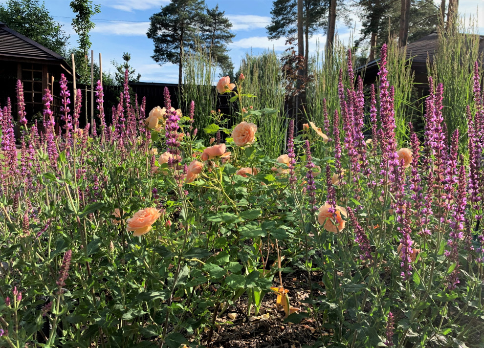 На солнечной поляне