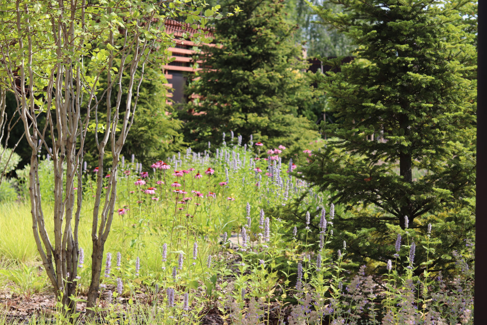 WB Парковая часть