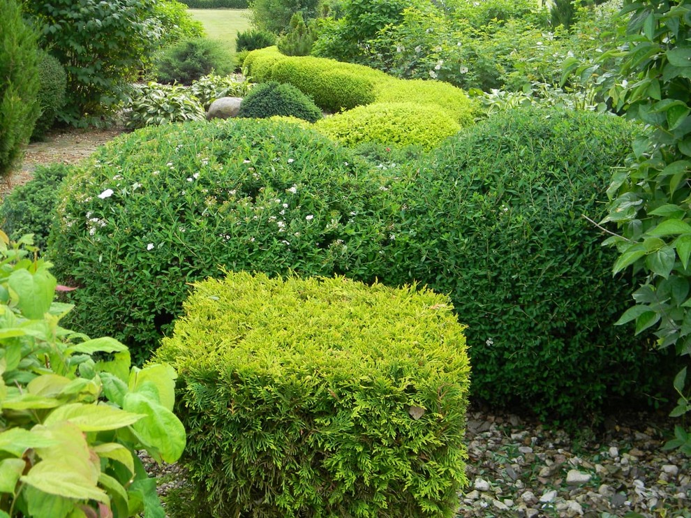 Примеры работ