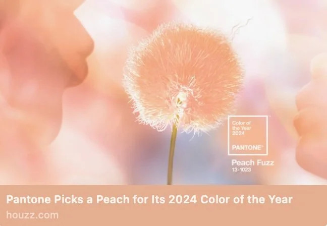 Pantone picks a peach for its 2024 color of the year