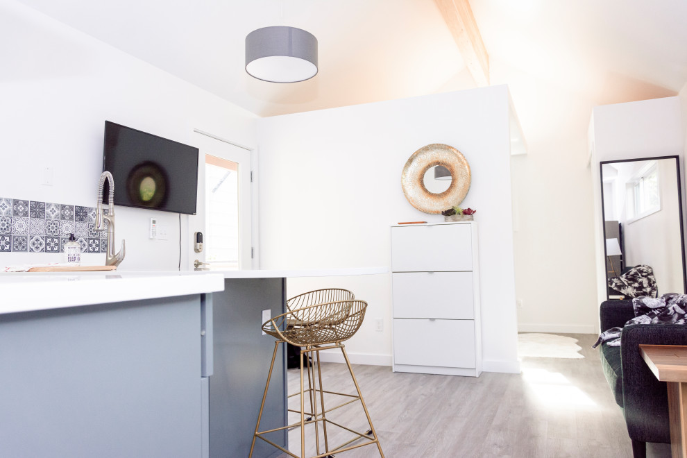 Стильный дизайн: маленькая гостиная комната в классическом стиле с белыми стенами и телевизором на стене без камина для на участке и в саду - последний тренд