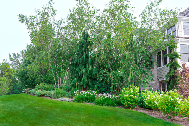 Backyard Escape contemporary-garden