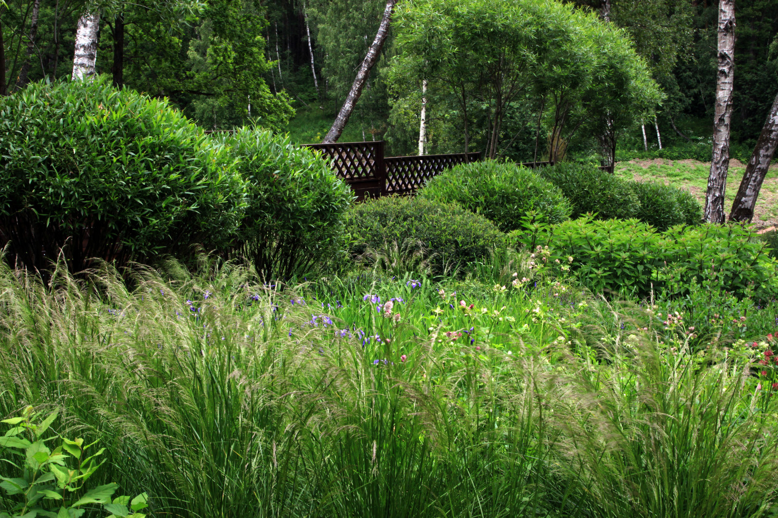 Проект "Волны" Нижний сад