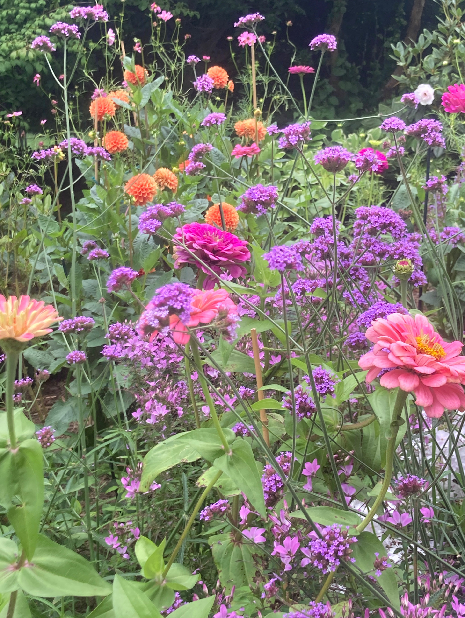Sagaponack Garden Borders