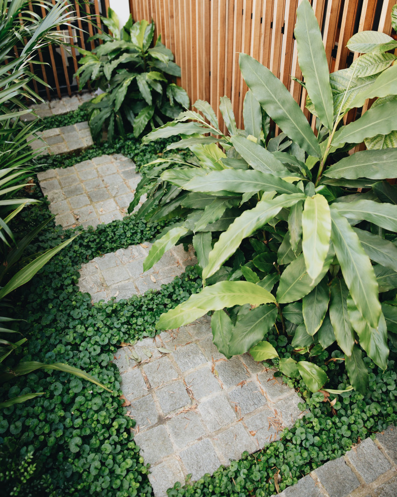 Esempio di un piccolo giardino xeriscape design esposto a mezz'ombra davanti casa in estate con pavimentazioni in pietra naturale e recinzione in legno