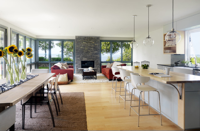 Susan Teare contemporary-kitchen