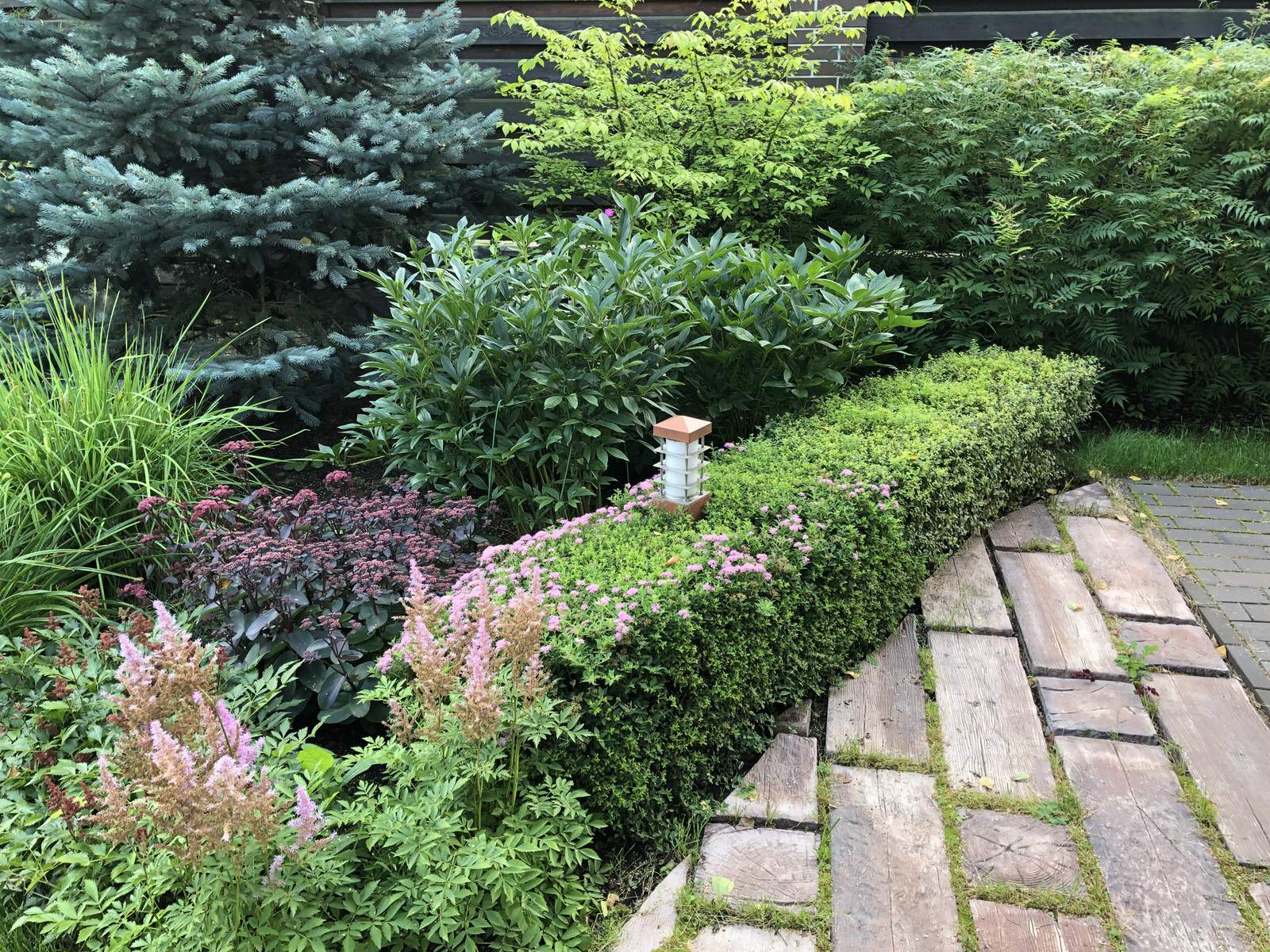 Сад в поселке Салтыковка