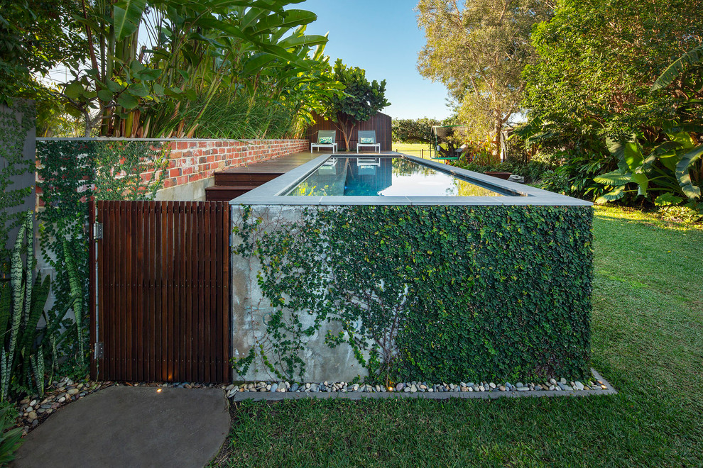 Windsor Project Tropical Brisbane by Brannelly Outdoor Houzz