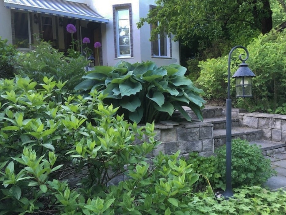 Минское шоссе. 22 сотки. Реконструкция сада.