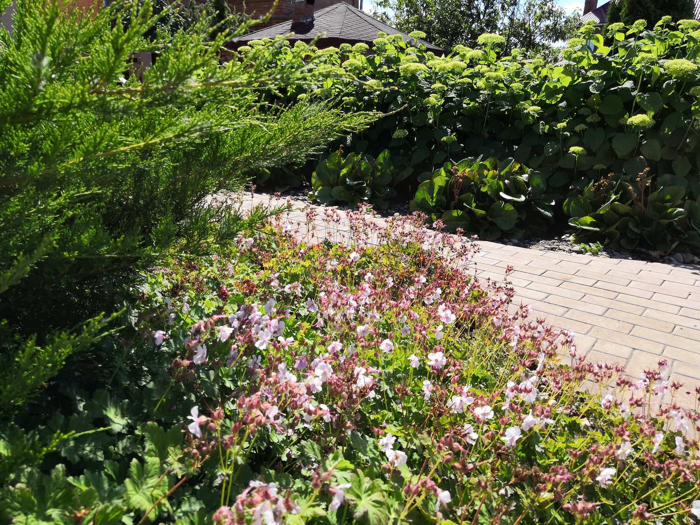 Сад на двух ярусах