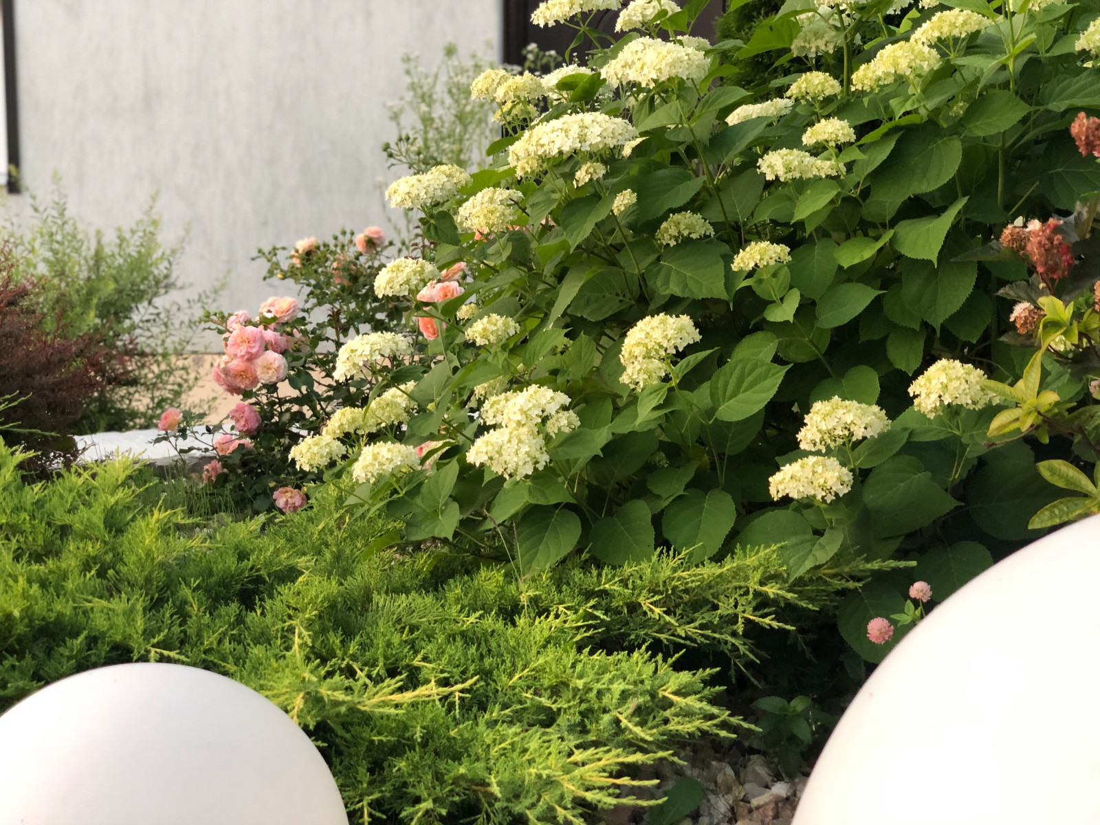 КП Лисавино