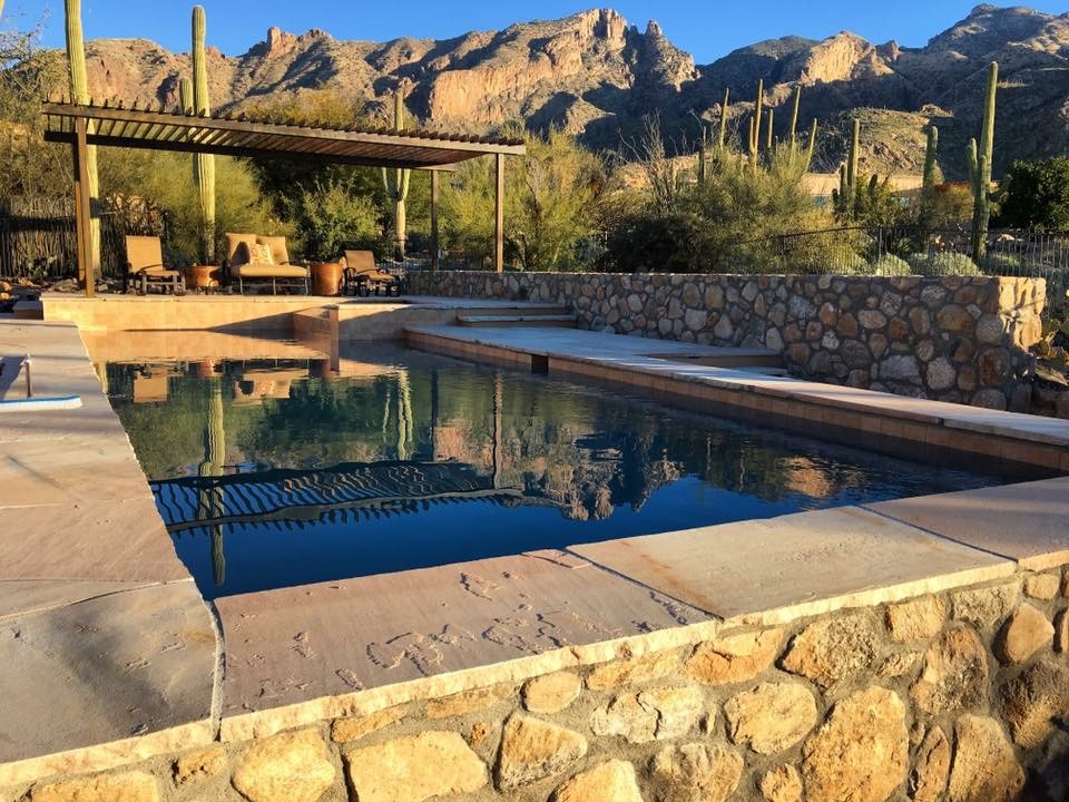 Transitional pool photo in Phoenix