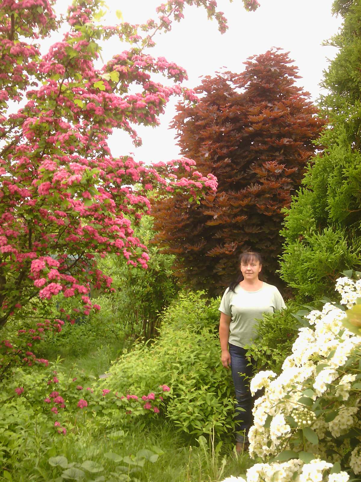 Наш собственный сад