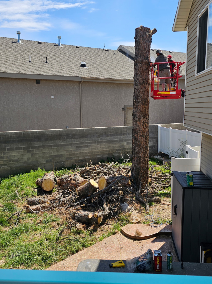 Backyard Transformation