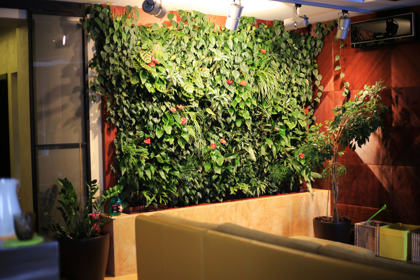 Фитостена в квартире, Коломяги