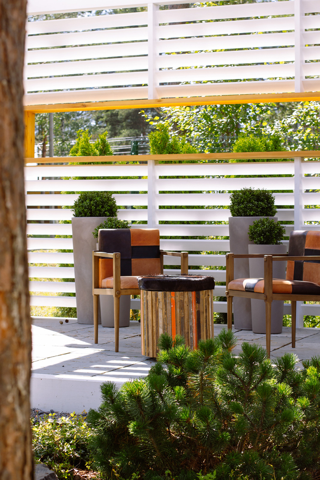 Сад в ''Охтинском парке''.