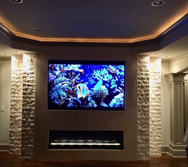 Laural Spring Basement fusion-basement