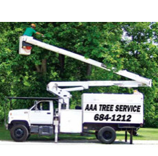 Aaa Tree Landscaping Dayton Oh Us 45432