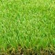 Hortus Grass-Artificial Turf Solutions in Dubai